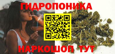 spice Кулебаки
