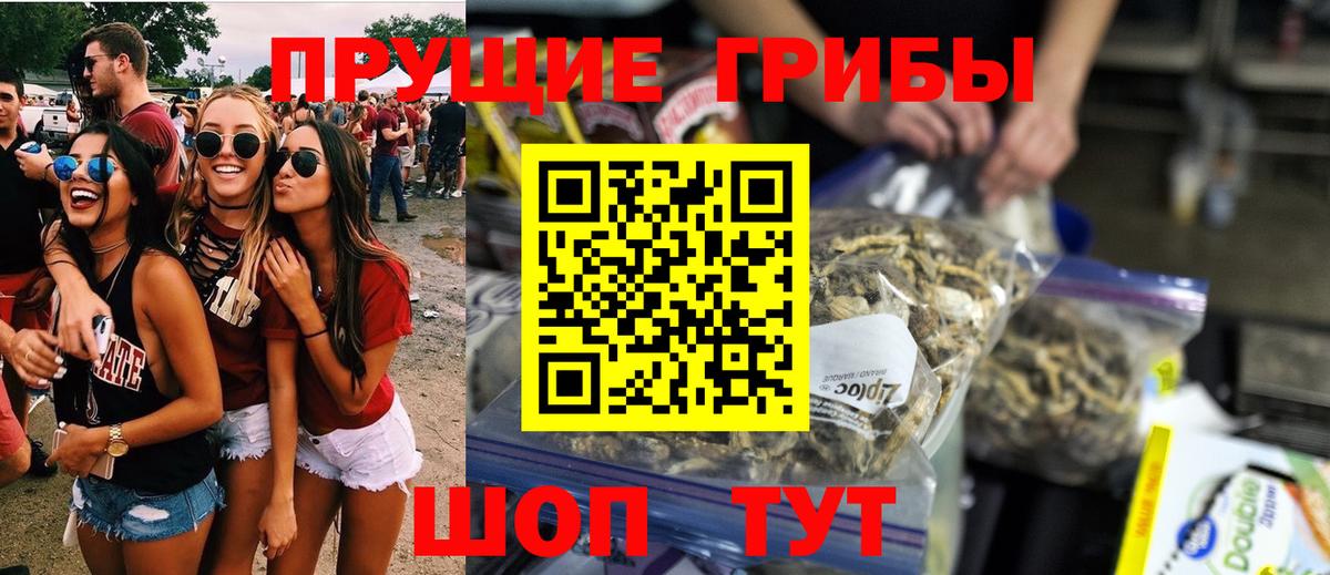 Псилоцибиновые грибы Psilocybe Ишимбай