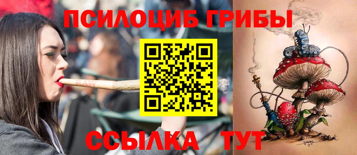 Галлюциногенные грибы Psilocybine cubensis  Вход с VPN  Ишимбай 